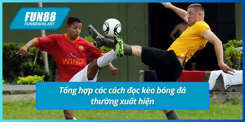 Cách đọc kèo Fun88 cùng các kèo bóng đá thường gặp